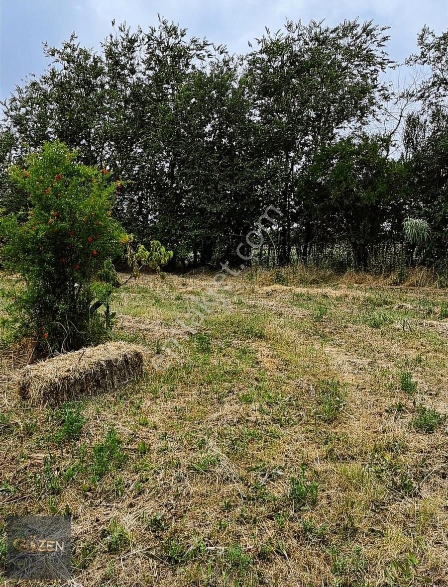 Gözen Emlak Güvencesiyle Umurluda Bahçeler - Görsel 6