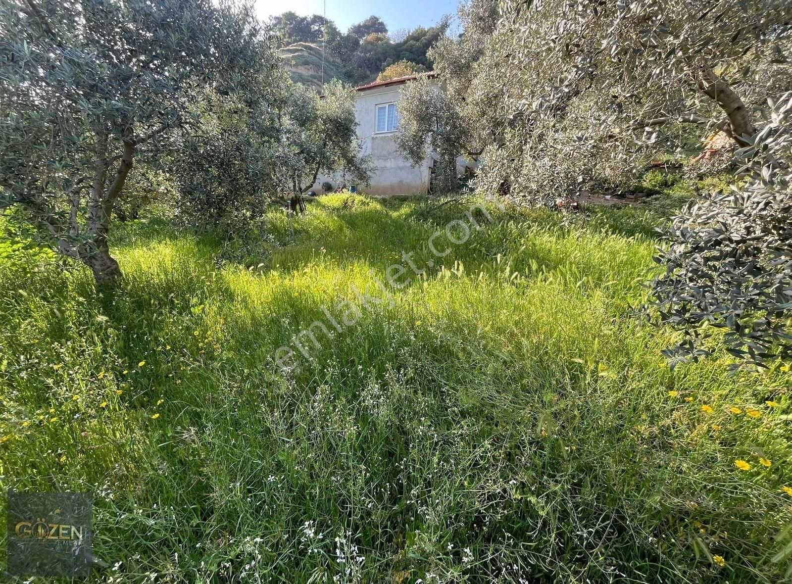 Gözen Emlaktan 7500 M2 Müstakil Ev - Görsel 2