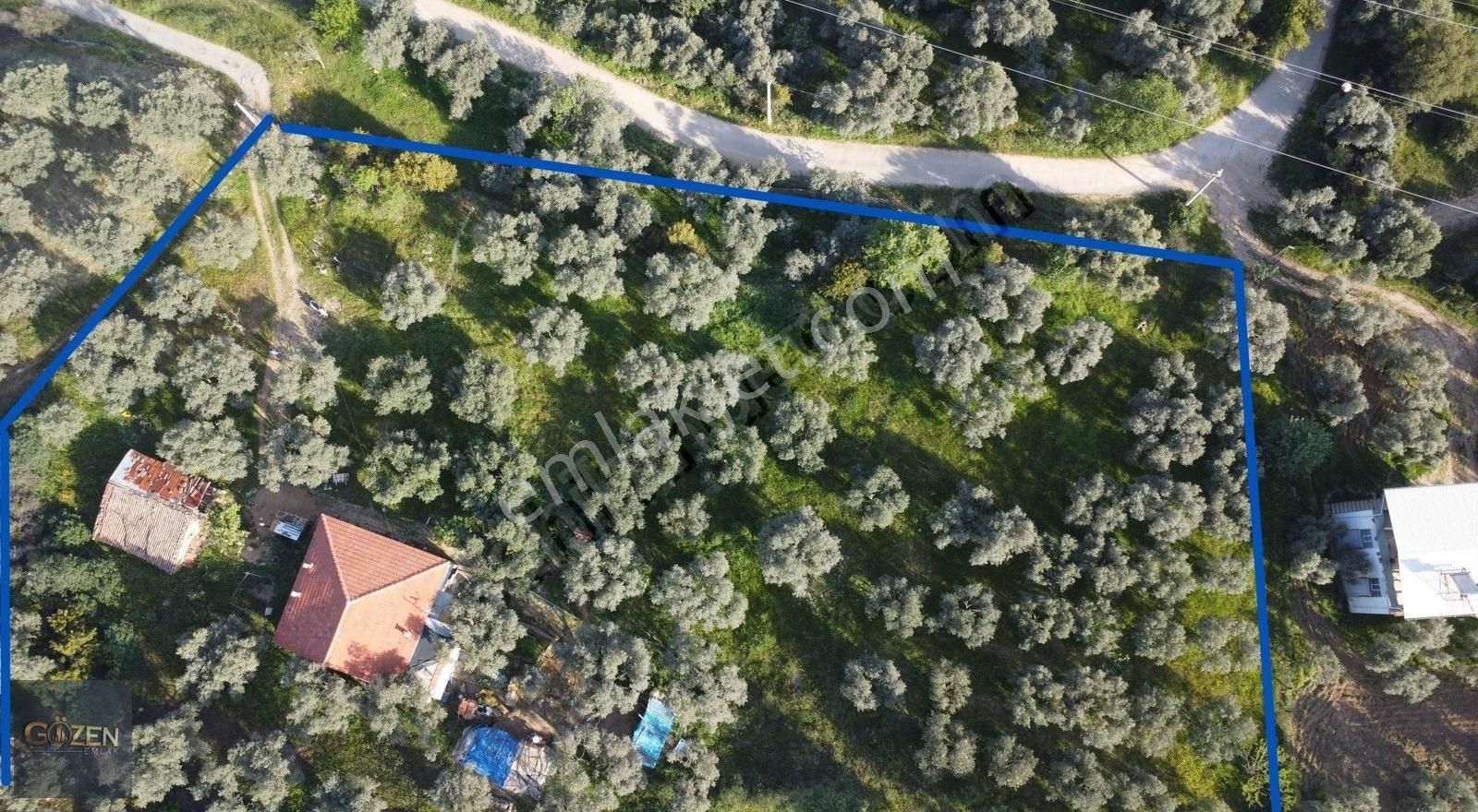 Gözen Emlaktan 7500 M2 Müstakil Ev - Görsel 9