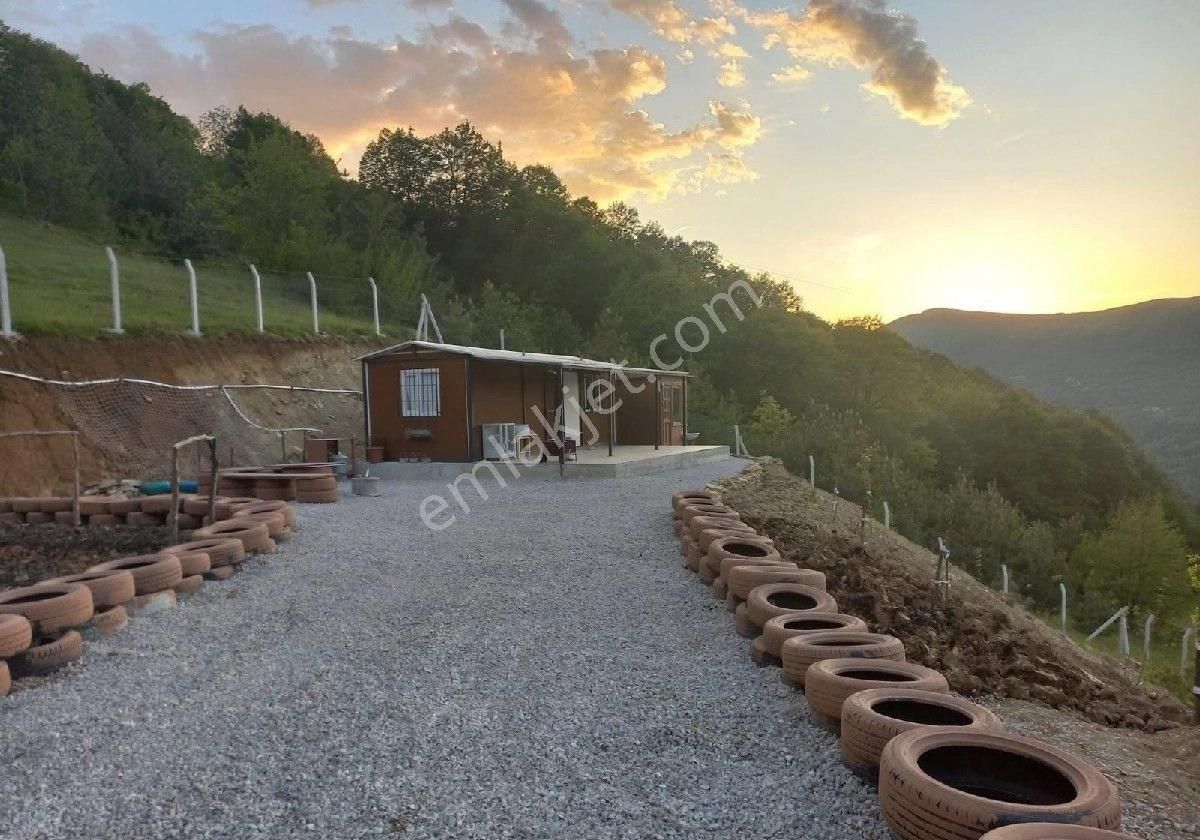 Sabuncuoğlu Gayrimenkul Den. Sinop Merkez,kirençukuru Ndan Ucuz Fırsat Prımlik.doğa Harikası, - Görsel 6