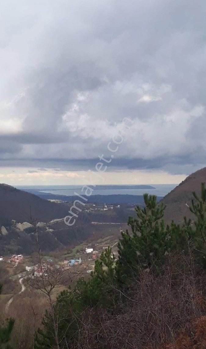 Sabuncuoğlu Gayrimenkul Den. Sinop Merkez,kirençukuru Ndan Ucuz Fırsat Prımlik.doğa Harikası,