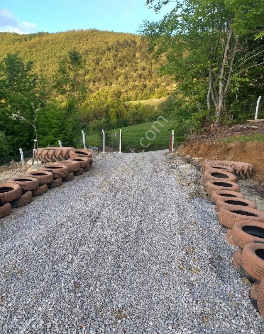 Sabuncuoğlu Gayrimenkul Den. Sinop Merkez,kirençukuru Ndan Ucuz Fırsat Prımlik.doğa Harikası, - Görsel 8