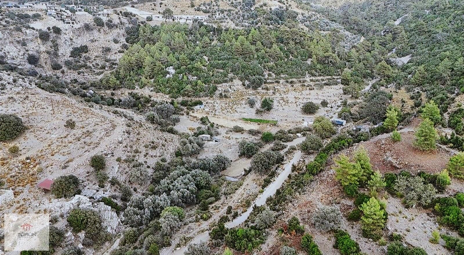Fethiye Faralya Kırme Mevkiide 2759 M2 Müstakil Tarla - Görsel 2