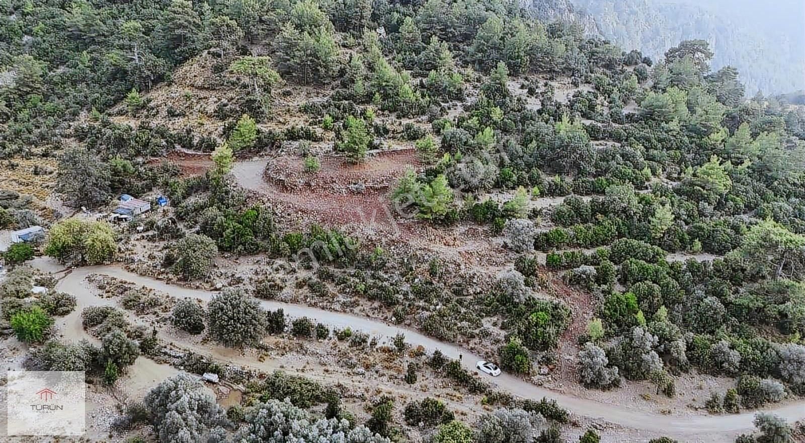 Fethiye Faralya Kırme Mevkiide 2759 M2 Müstakil Tarla - Görsel 3