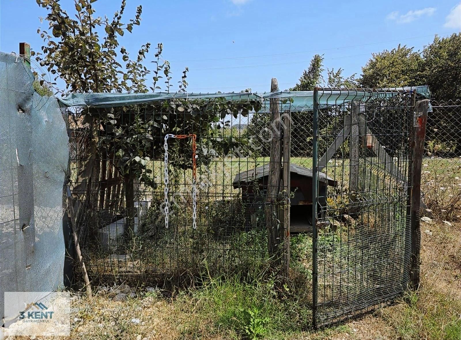 Kandıra Sarıahmetler Köy İçi İmarlı, Evi Ve Ahırı İle Satılık