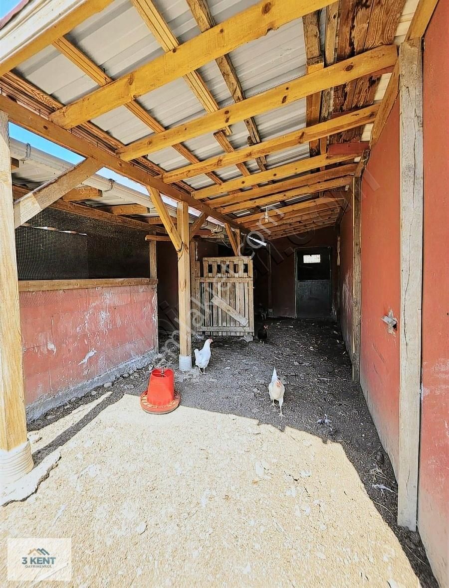 Kandıra Sarıahmetler Köy İçi İmarlı, Evi Ve Ahırı İle Satılık - Görsel 17