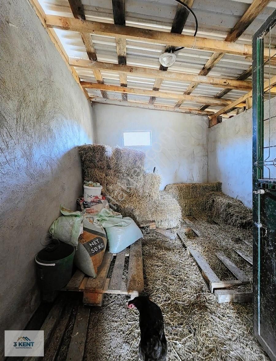 Kandıra Sarıahmetler Köy İçi İmarlı, Evi Ve Ahırı İle Satılık - Görsel 5