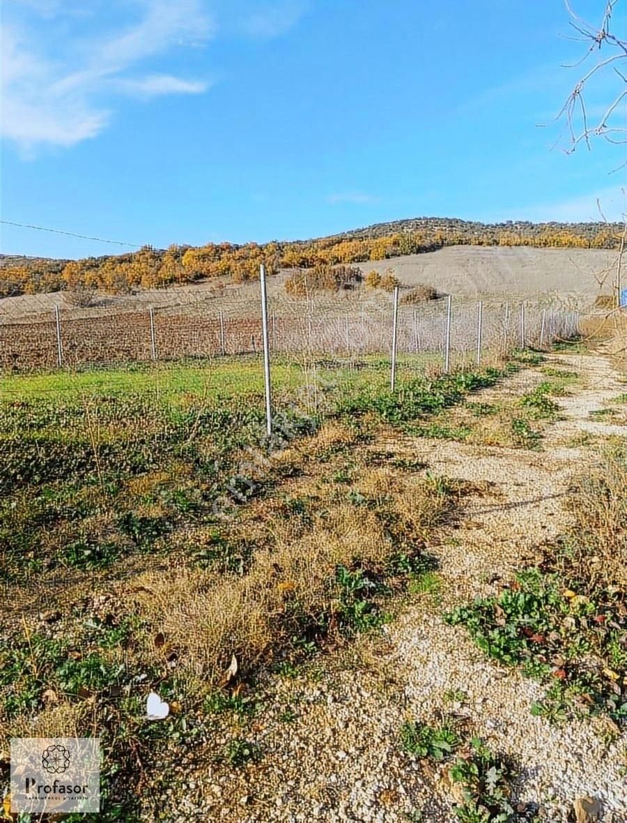 Kestel/soğuksu/281 M2 - Görsel 3