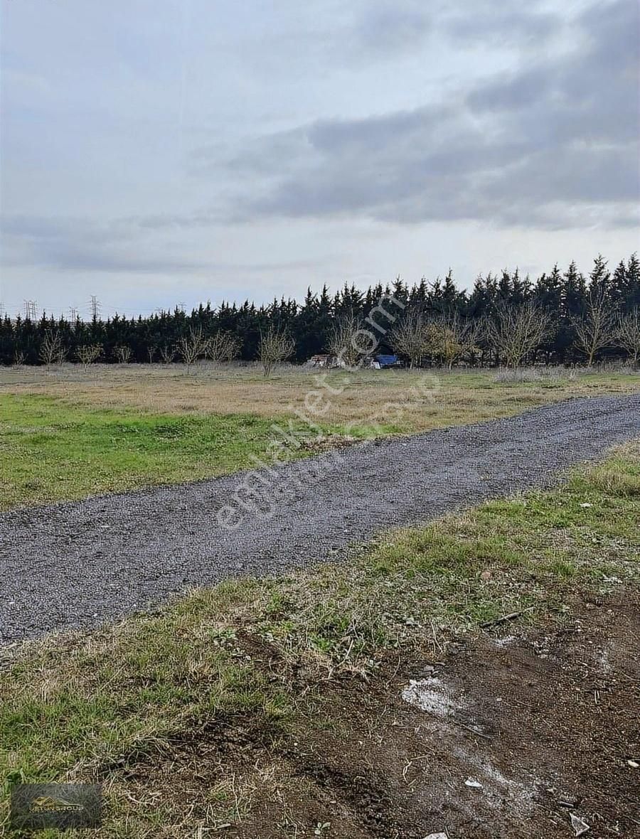 Çatalca İzzettinde Arsa Tapulu 200/400 M2 Fırsat İlanları - Görsel 4