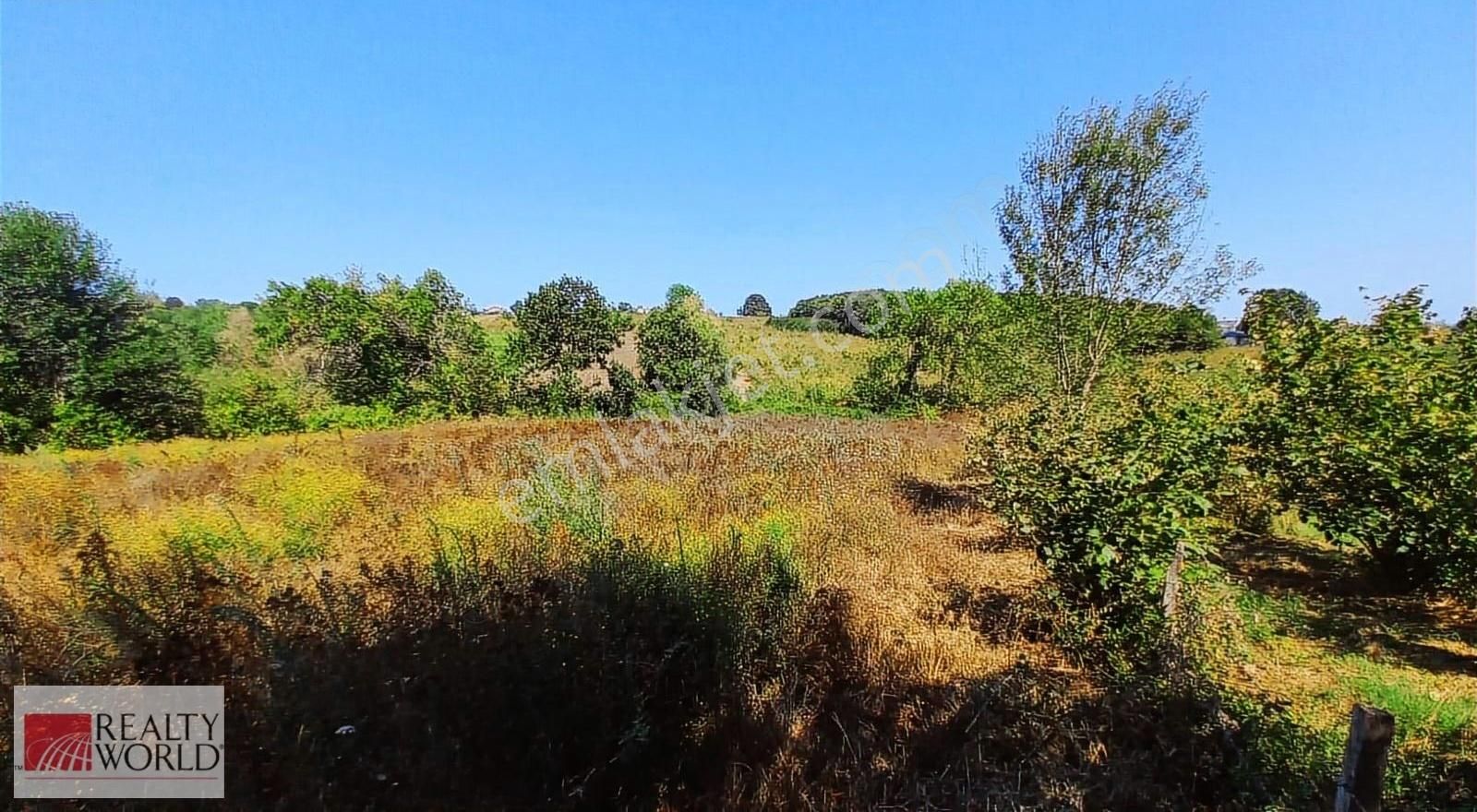 Kandıra Karaağaçta Yerleşim Yerine Yakın, Yatırıma Uygun Arazi