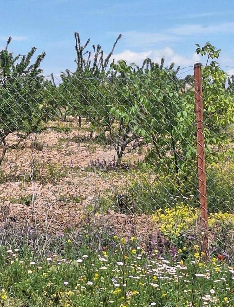 Burdur Karamanlı Mürseller Köyünde Satılık Tarla - Görsel 3