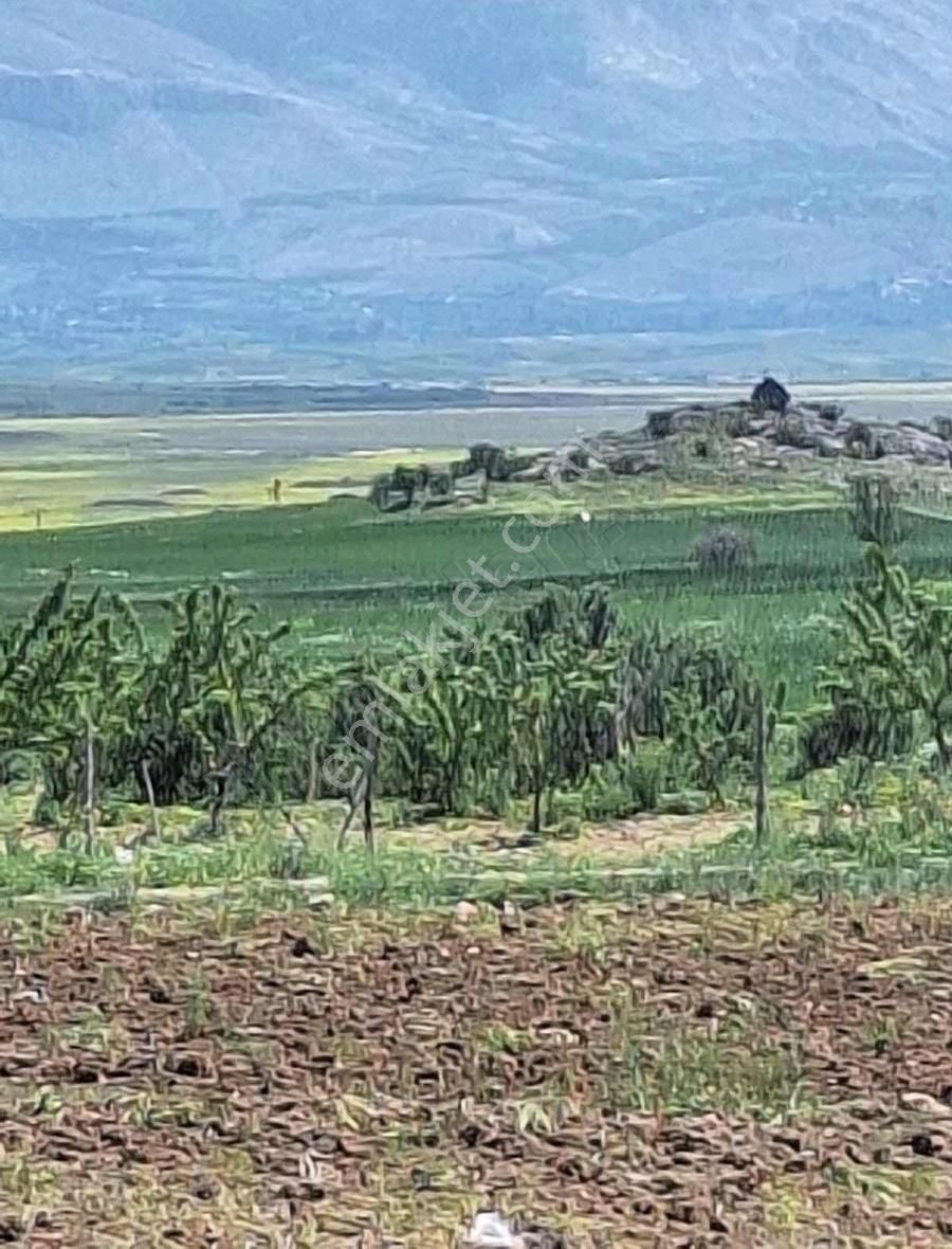 Burdur Karamanlı Mürseller Köyünde Satılık Tarla - Görsel 6
