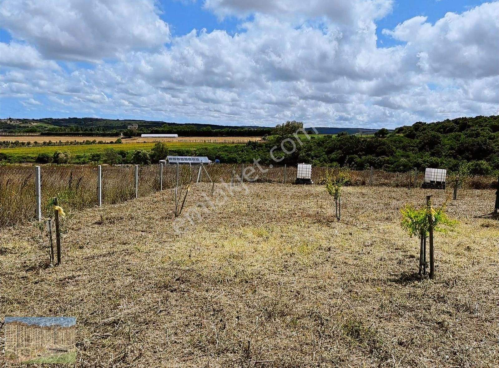 Bongolovlu Çevrili Dağyenice De Satlık Uygun Arsa - Görsel 7