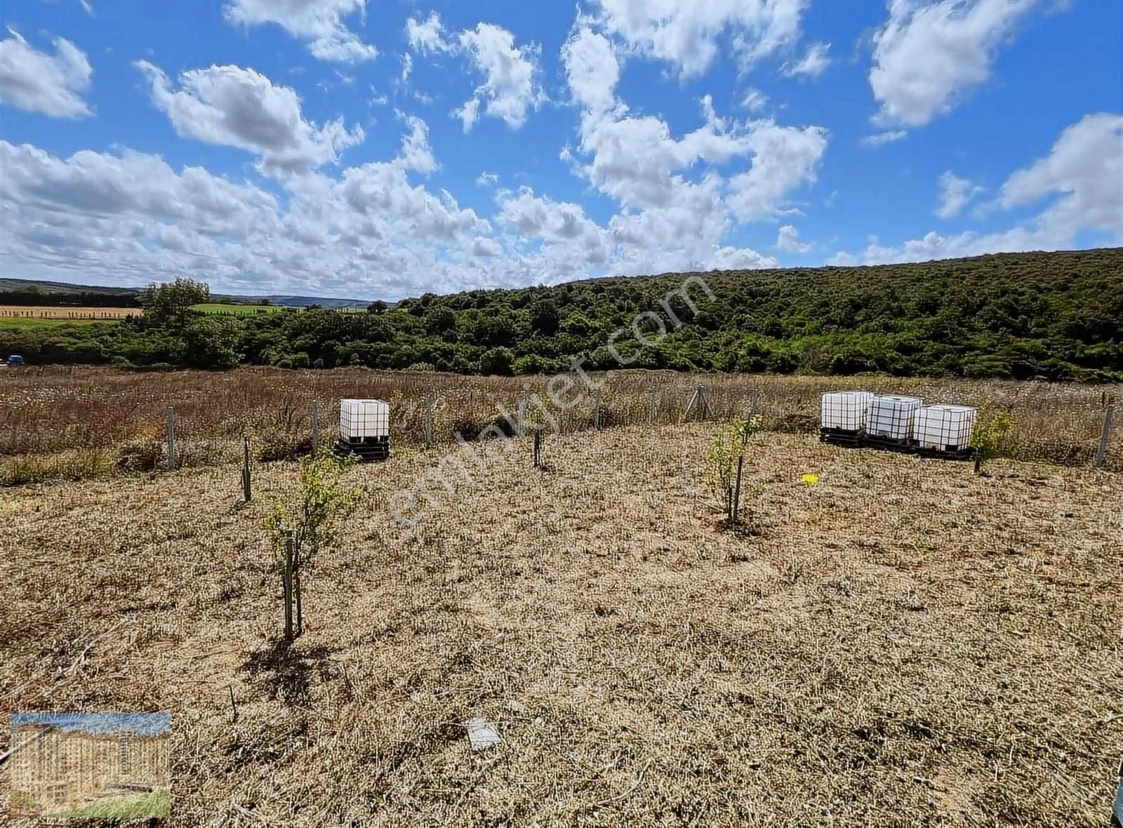 Bongolovlu Çevrili Dağyenice De Satlık Uygun Arsa - Görsel 6