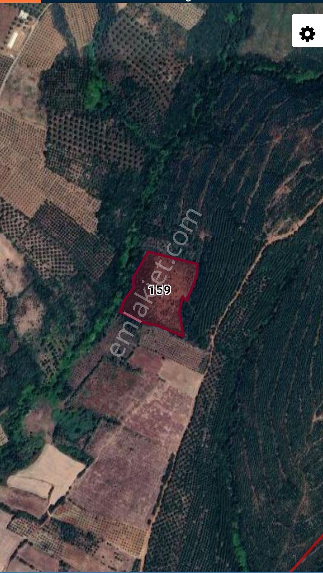 Bursa Karacabey Okçular Satılık Yatırımlık Tarla Arazi - Görsel 16