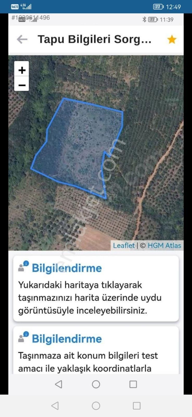 Bursa Karacabey Okçular Satılık Yatırımlık Tarla Arazi - Görsel 18