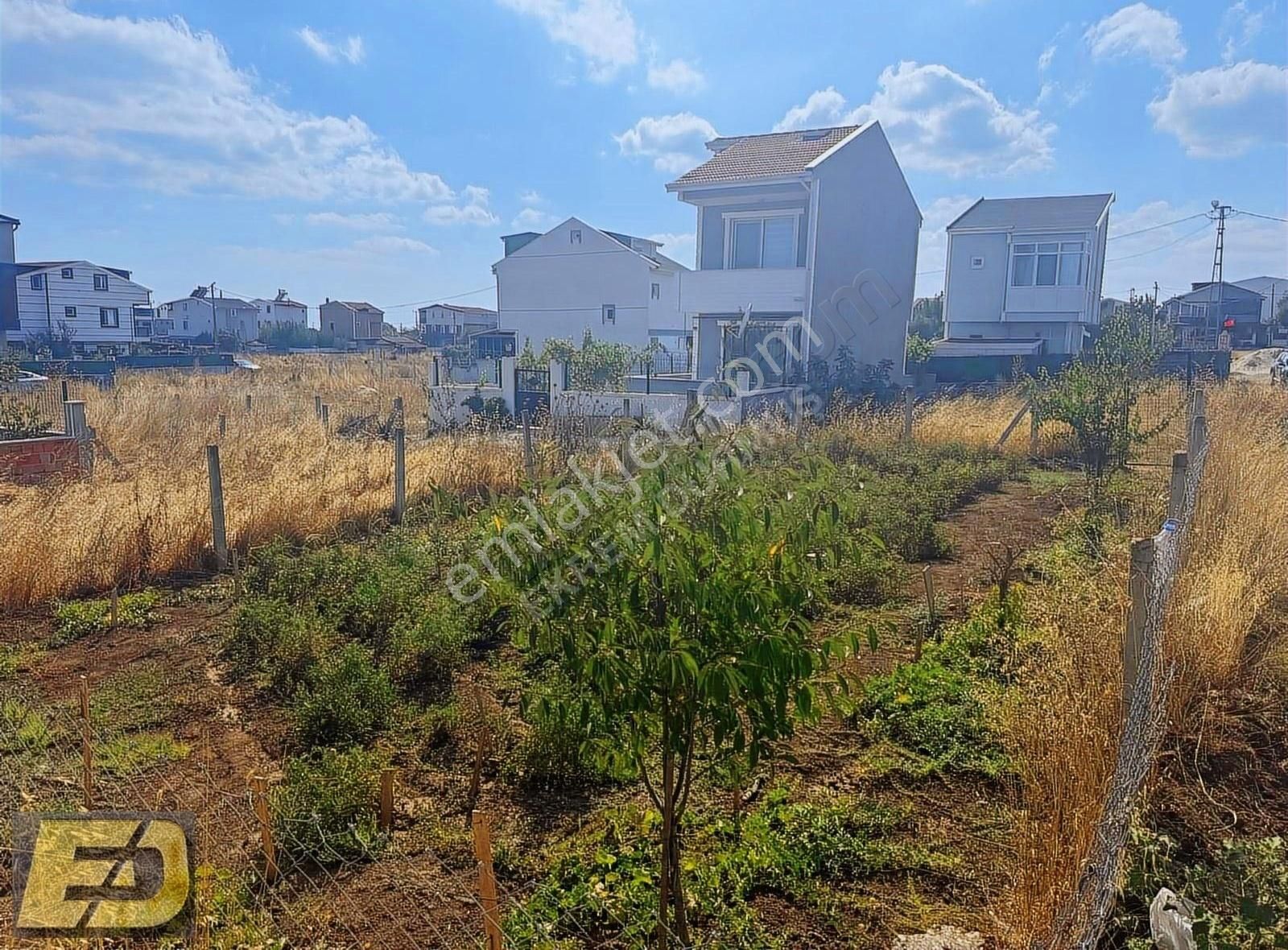 Ed Arsadan Prestijli Yaşam İçin Fırsat Villa İmarlı İfrazlı Arsa - Görsel 5