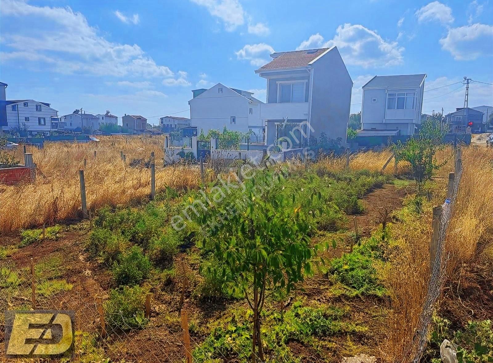 Ed Arsadan Prestijli Yaşam İçin Fırsat Villa İmarlı İfrazlı Arsa - Görsel 2