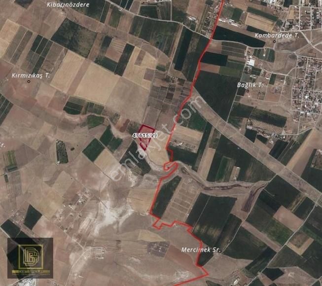 Dgn Grouptan Gödene Yeni Çevre Yolu Yanı Bahçe - Görsel 3