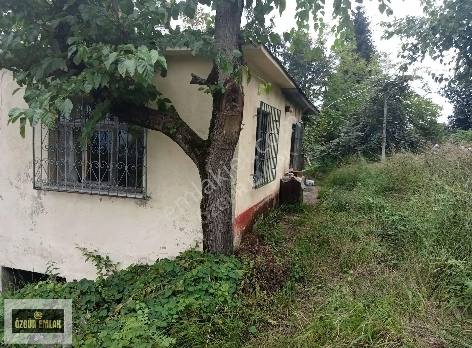 Özgür Emlak'tan Müstakil Satılık Ev Fındıklık Ve Çay Bahçesi - Görsel 8
