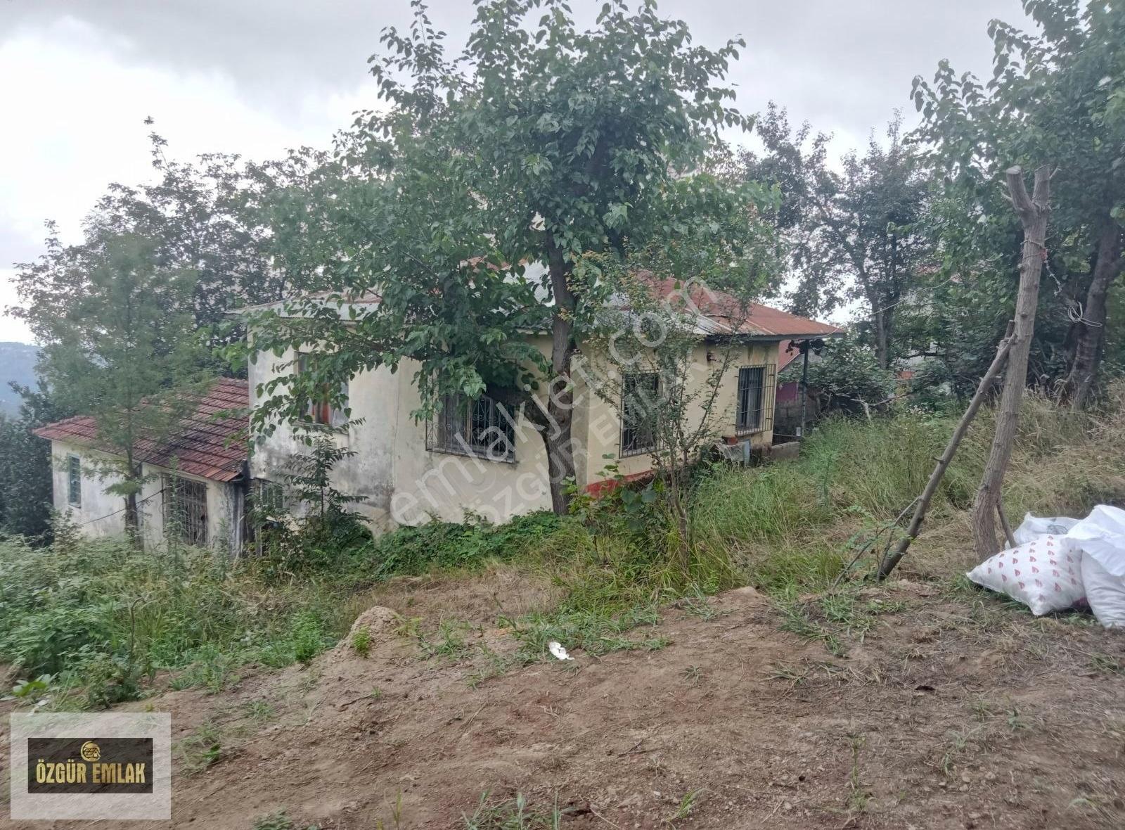 Özgür Emlak'tan Müstakil Satılık Ev Fındıklık Ve Çay Bahçesi - Görsel 11