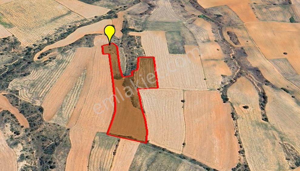Afyon Dazkırında Geniş Arazi 13.435 M² Tarla Satışta