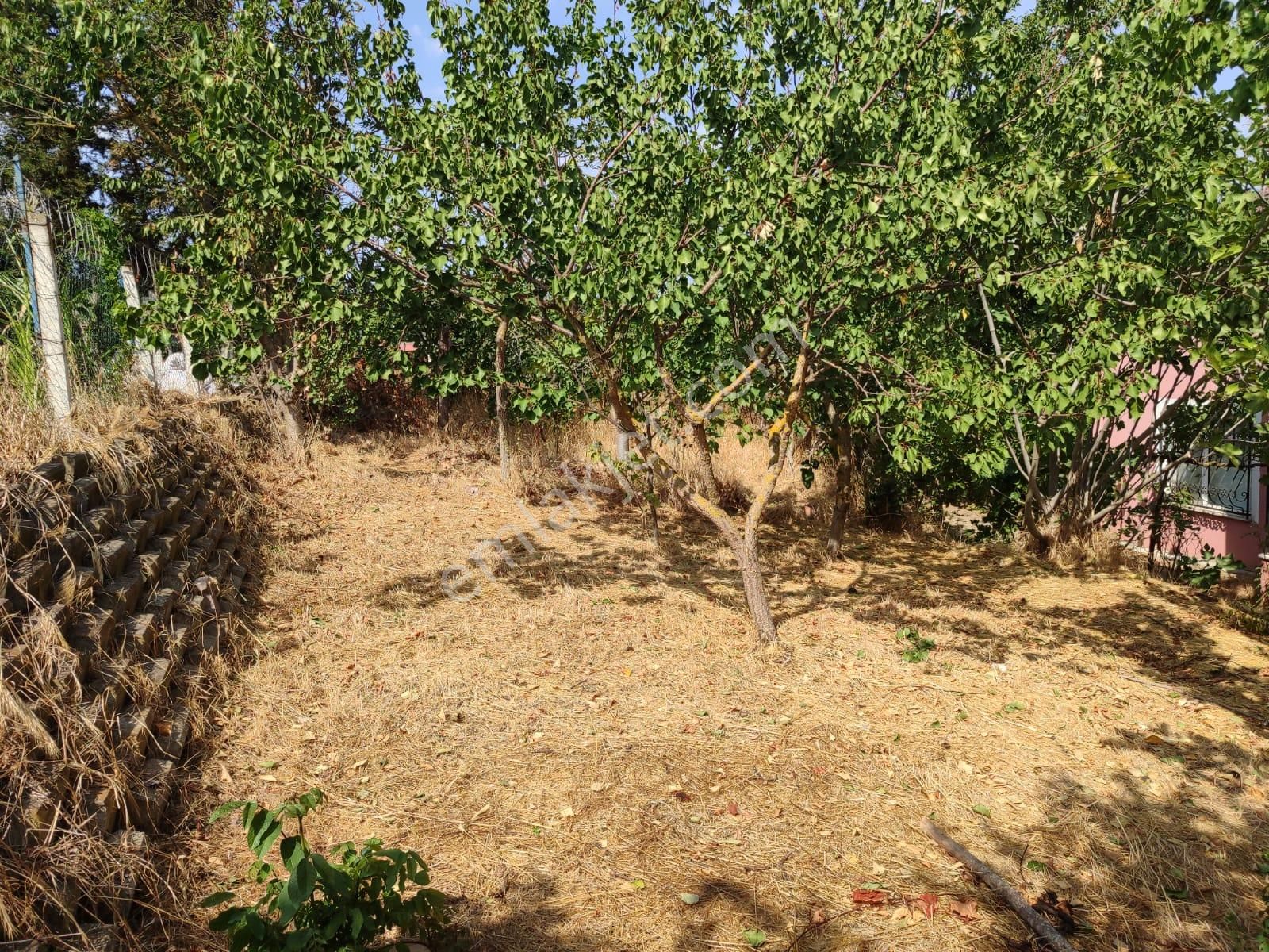 Özgür İnşaat"tan Silivri"de 3 Katlı Müstakil Villa İhtiyaçtan Satılık !!! - Görsel 33