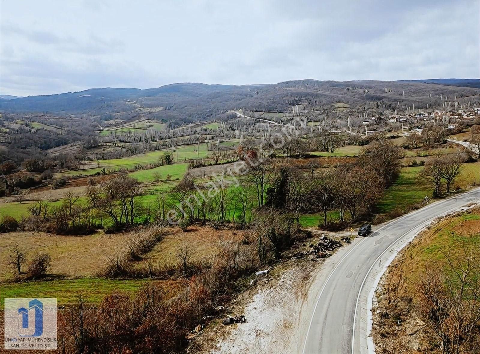 Bursa Mustafakemalpaşa ' Da Asfalt Yola Cephe Satılık Tarla