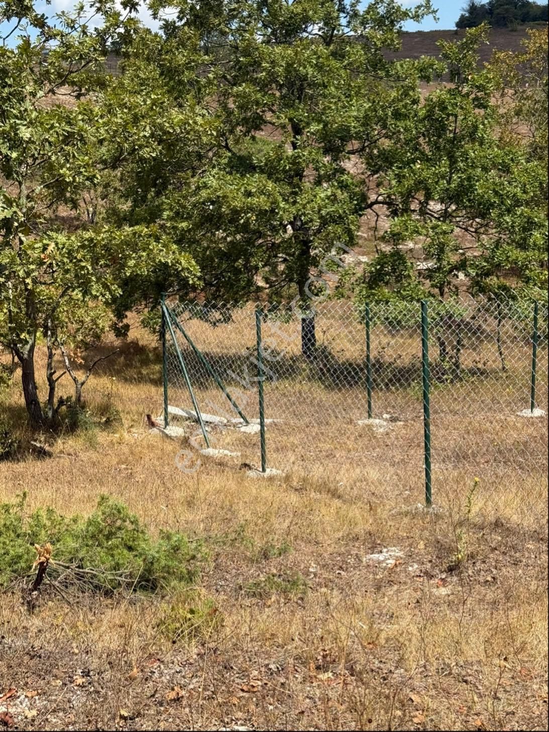 Etrafı Çevrili Çapı Kare Yola 1 Parsel Arsa