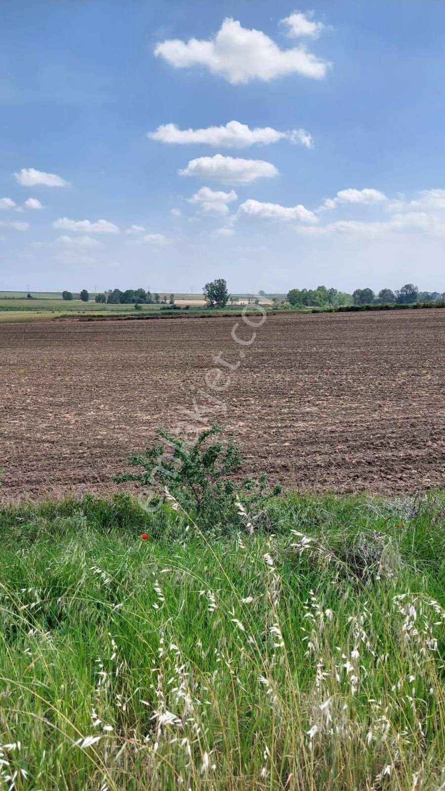 Kırklareli Lüleburgaz Seyitler'de Toplamda 15450 M² Satılık Tarla