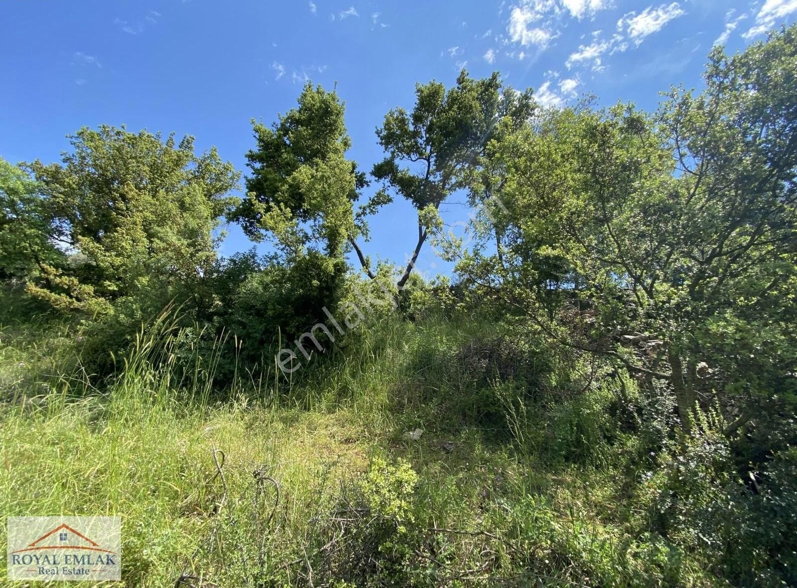 Muğla Milas Kuzyaka Mahallesi Satılık Tarla - Görsel 14