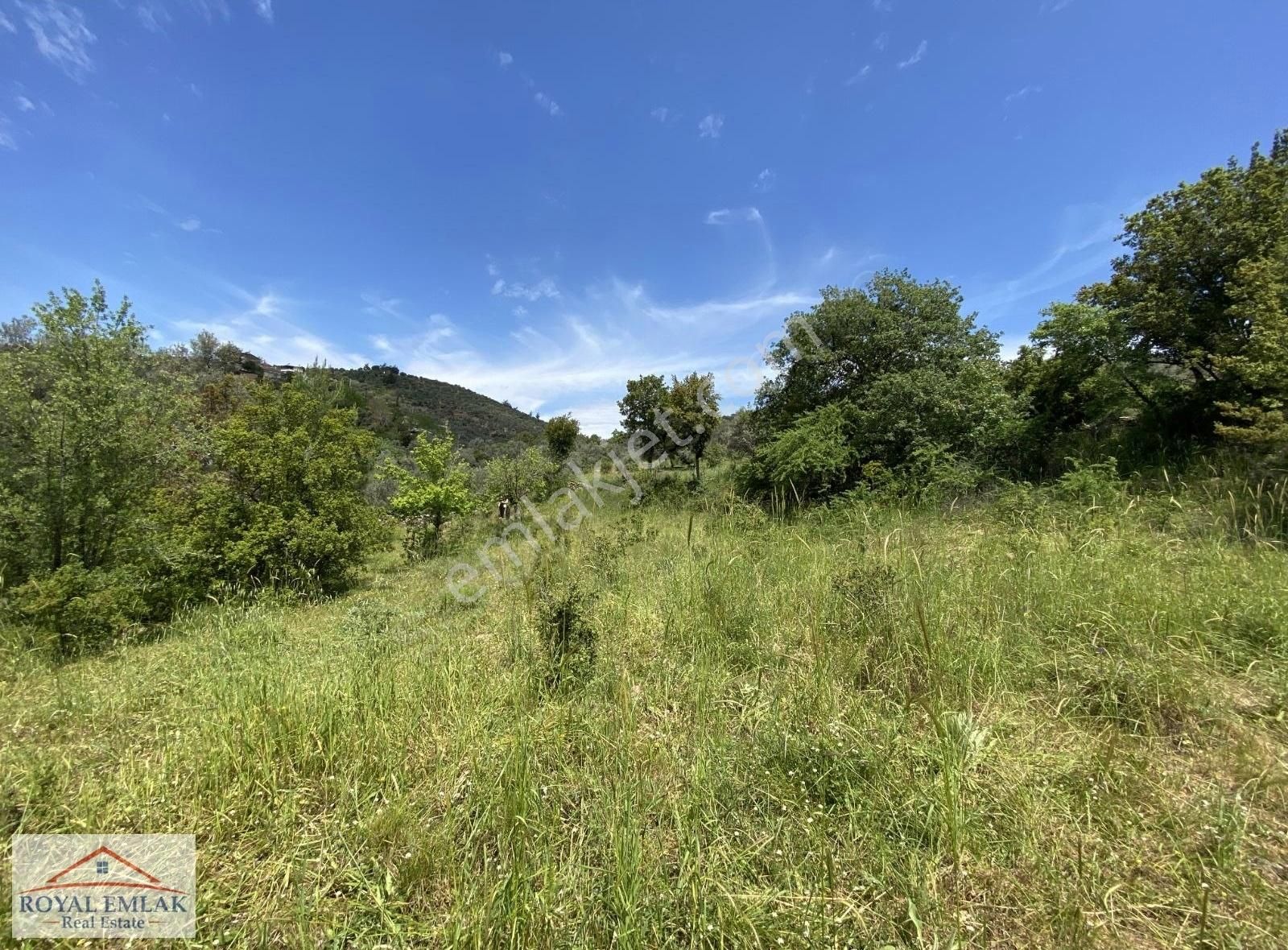 Muğla Milas Kuzyaka Mahallesi Satılık Tarla - Görsel 13