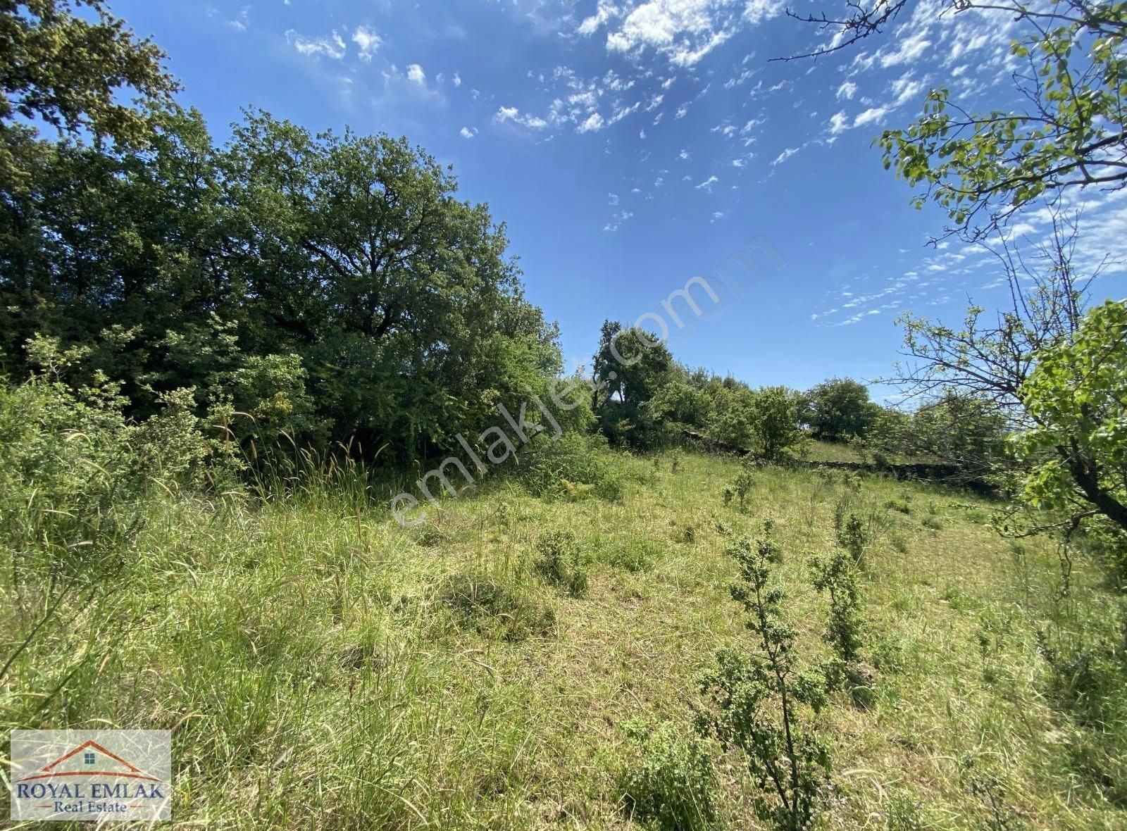 Muğla Milas Kuzyaka Mahallesi Satılık Tarla - Görsel 2