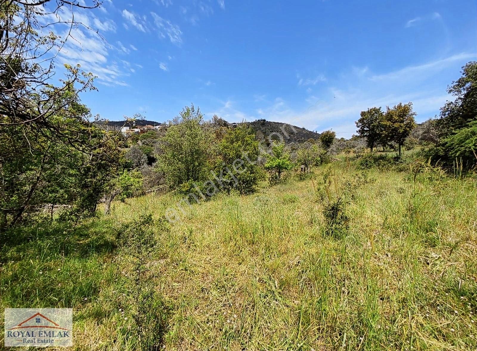 Muğla Milas Kuzyaka Mahallesi Satılık Tarla - Görsel 17