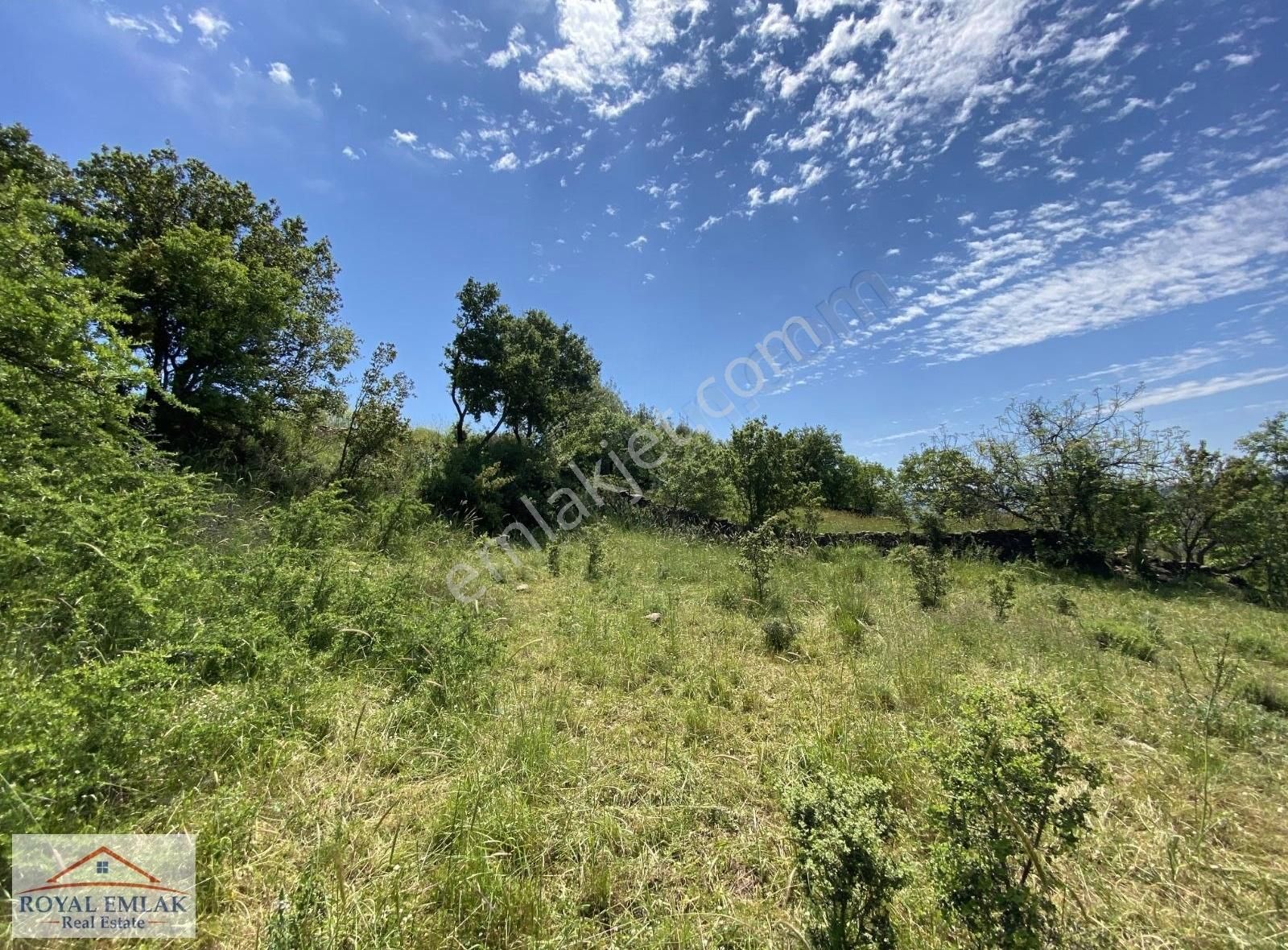 Muğla Milas Kuzyaka Mahallesi Satılık Tarla - Görsel 4