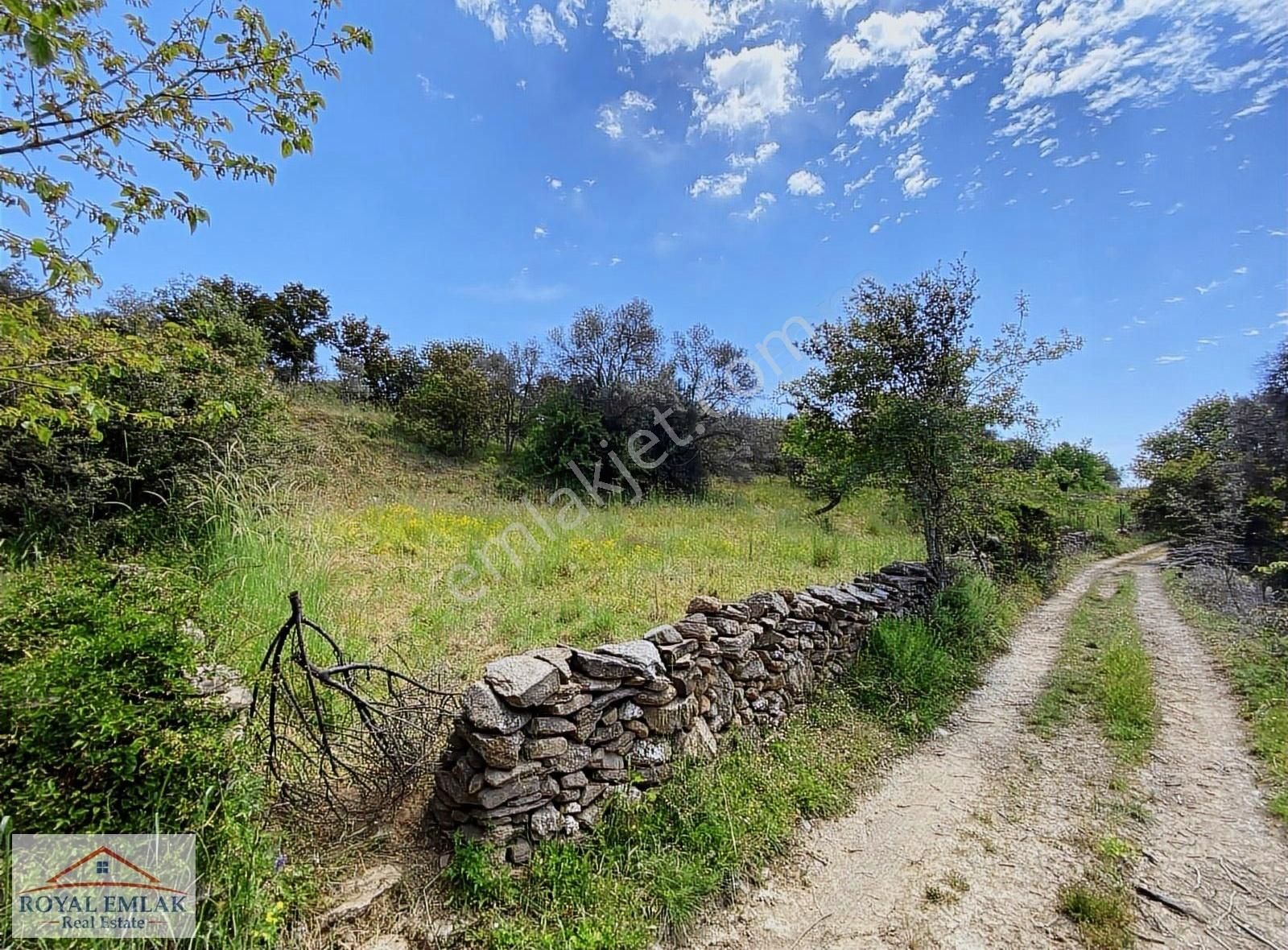 Muğla Milas Kuzyaka Mahallesi Satılık Tarla - Görsel 11