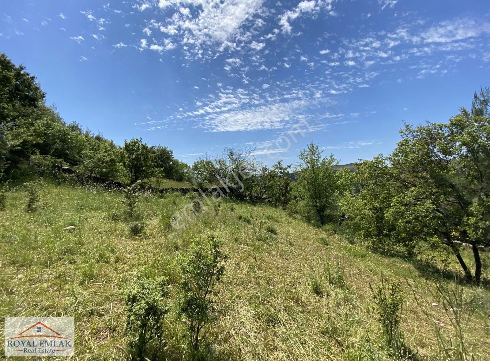 Muğla Milas Kuzyaka Mahallesi Satılık Tarla - Görsel 19