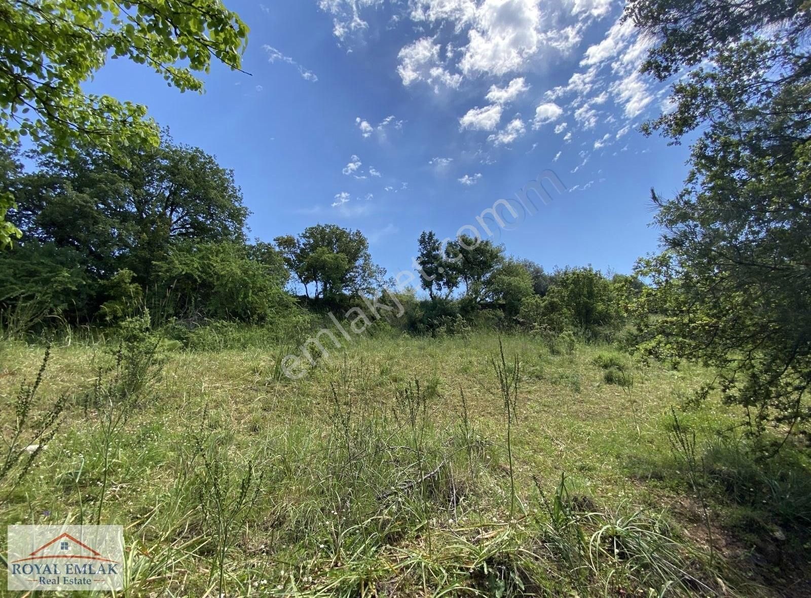 Muğla Milas Kuzyaka Mahallesi Satılık Tarla - Görsel 16