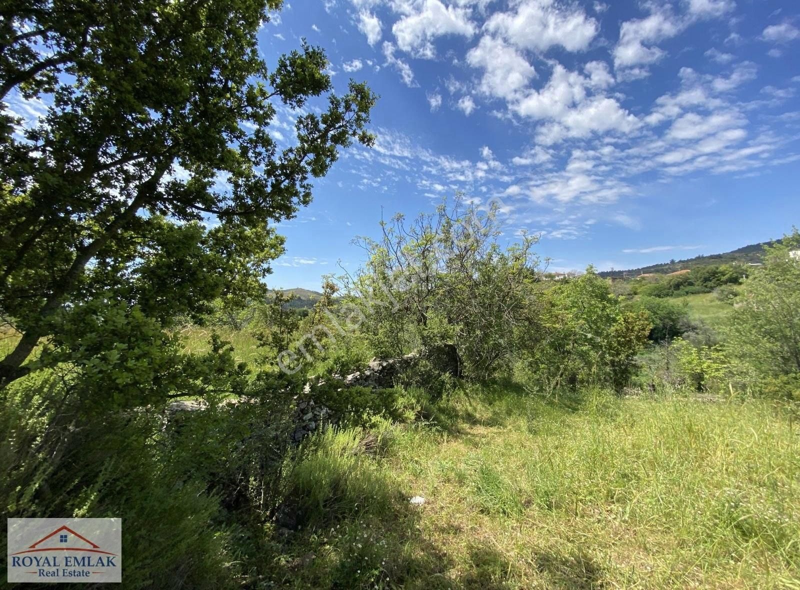 Muğla Milas Kuzyaka Mahallesi Satılık Tarla - Görsel 8