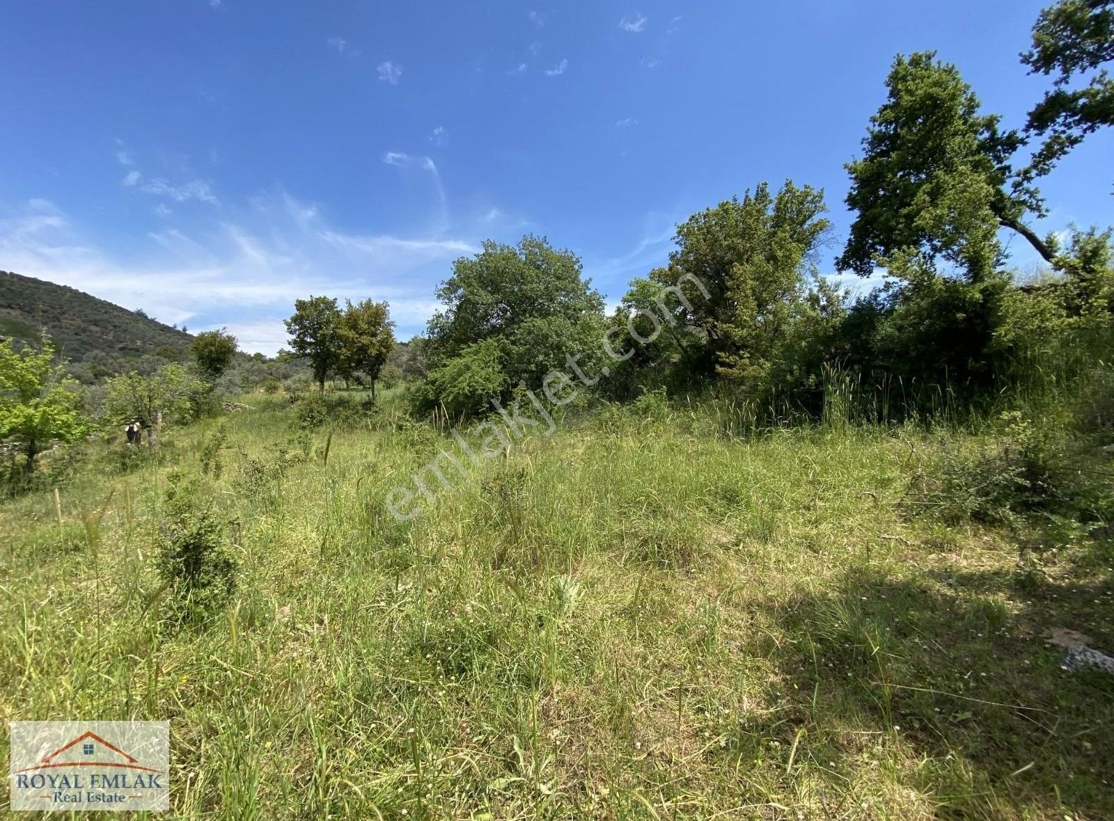 Muğla Milas Kuzyaka Mahallesi Satılık Tarla - Görsel 3