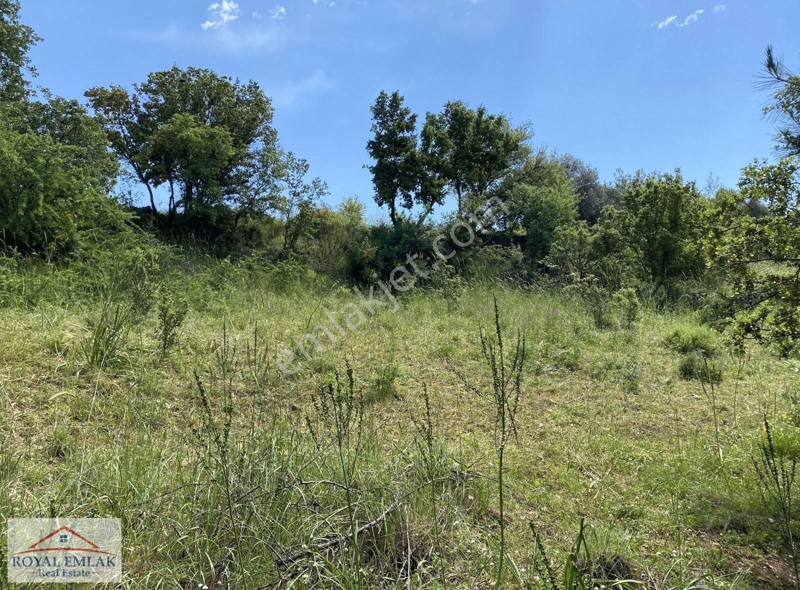 Muğla Milas Kuzyaka Mahallesi Satılık Tarla - Görsel 12