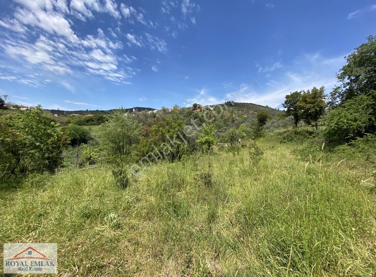 Muğla Milas Kuzyaka Mahallesi Satılık Tarla - Görsel 5