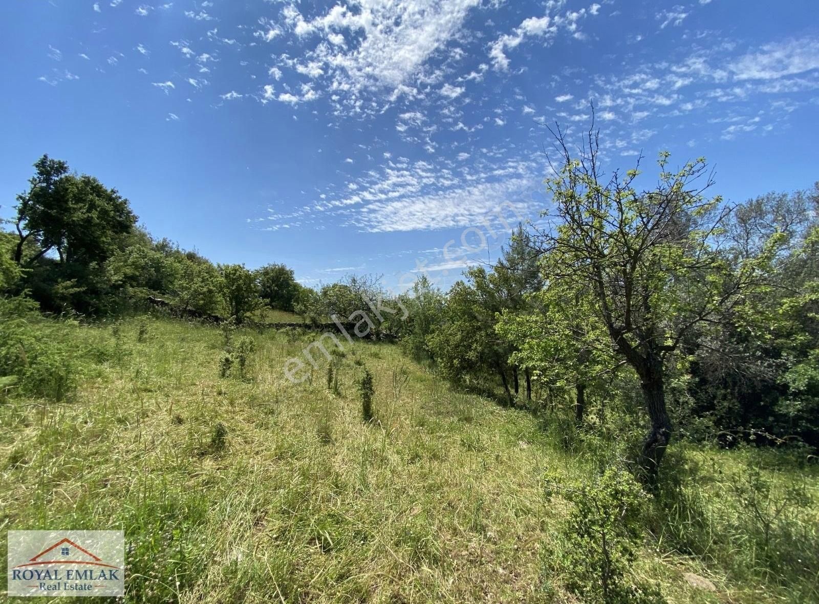 Muğla Milas Kuzyaka Mahallesi Satılık Tarla - Görsel 15