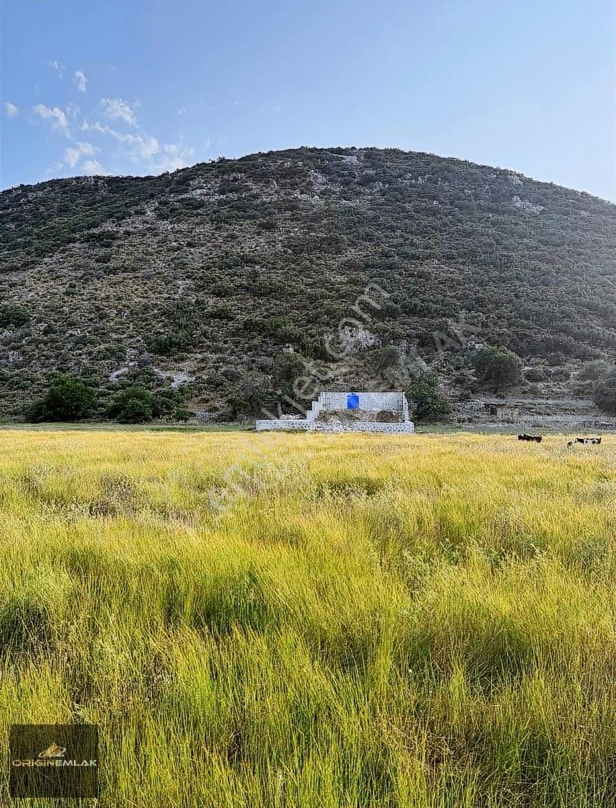 Acil Satılık Kaş Kalkan Bezirgan Yaylası Köy İçinde - Görsel 4