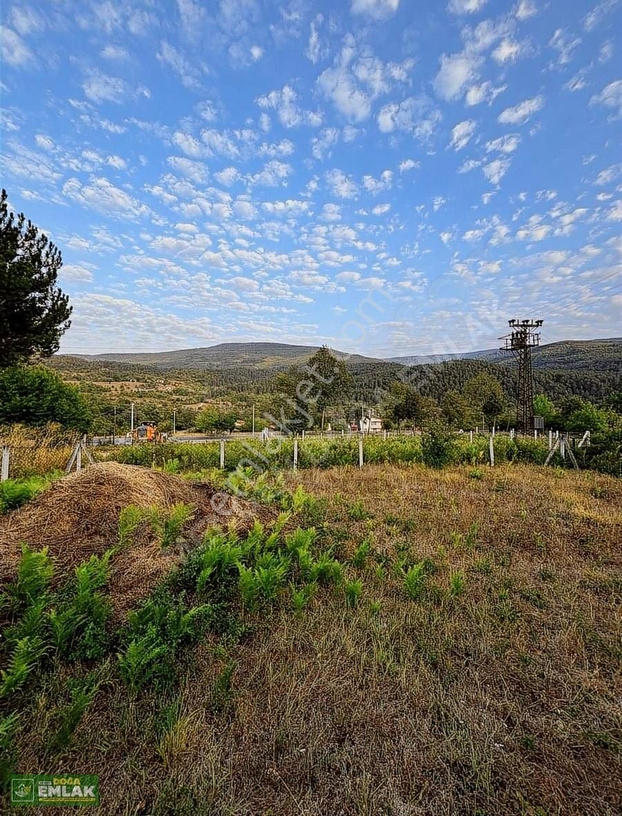 Mengen Ağacalar Saray Mahallesinde Satılık Bahçeli Müstakil Ev - Görsel 7