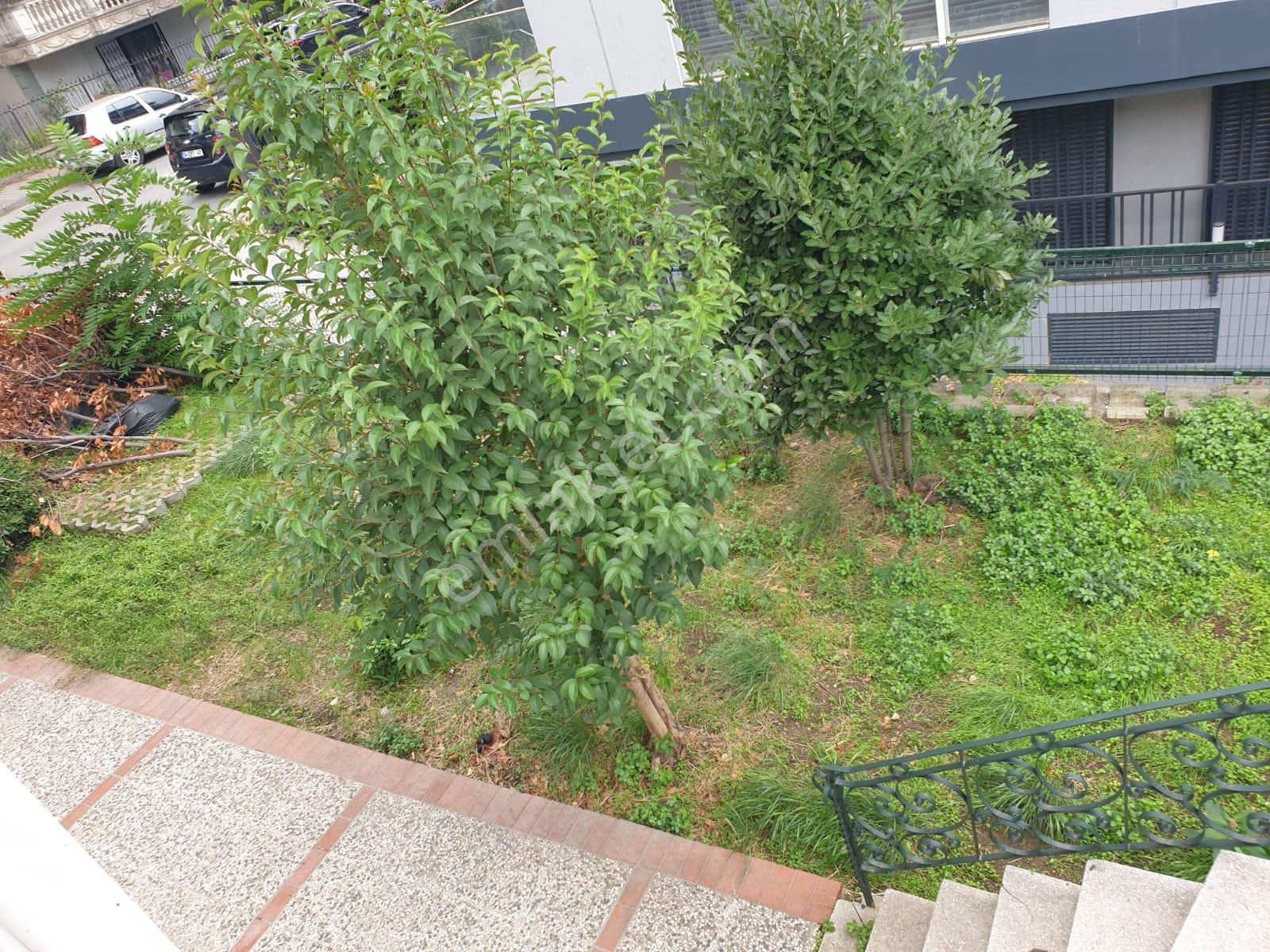 Yeşilköy Merkezde Müstakil Bahçeli 3 Katlı Ahşap Köşk - Görsel 27