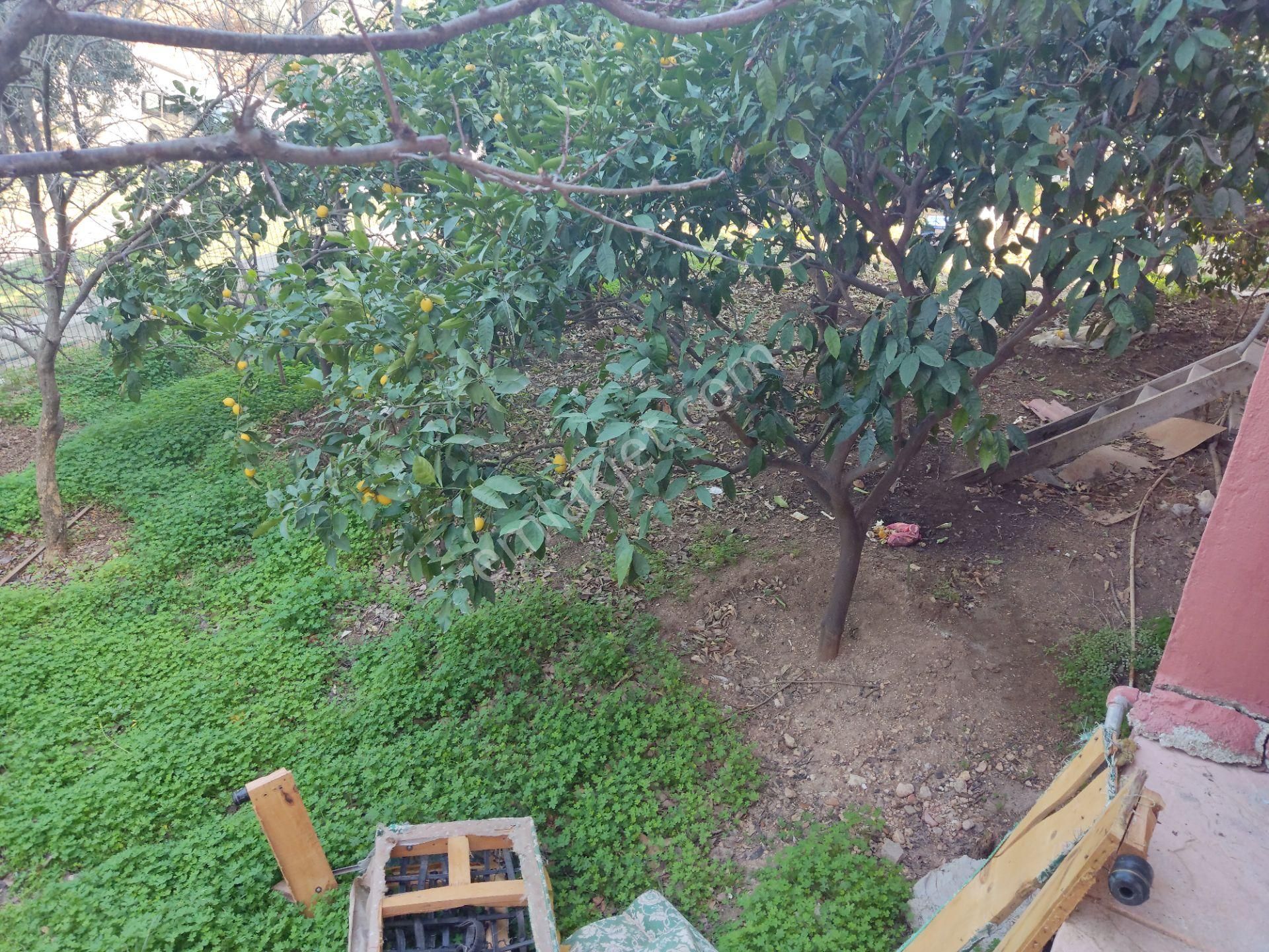 Nw Tek Yetkili Palamut Villalarında D .gazlı Satılık 4+1 Triplex - Görsel 30