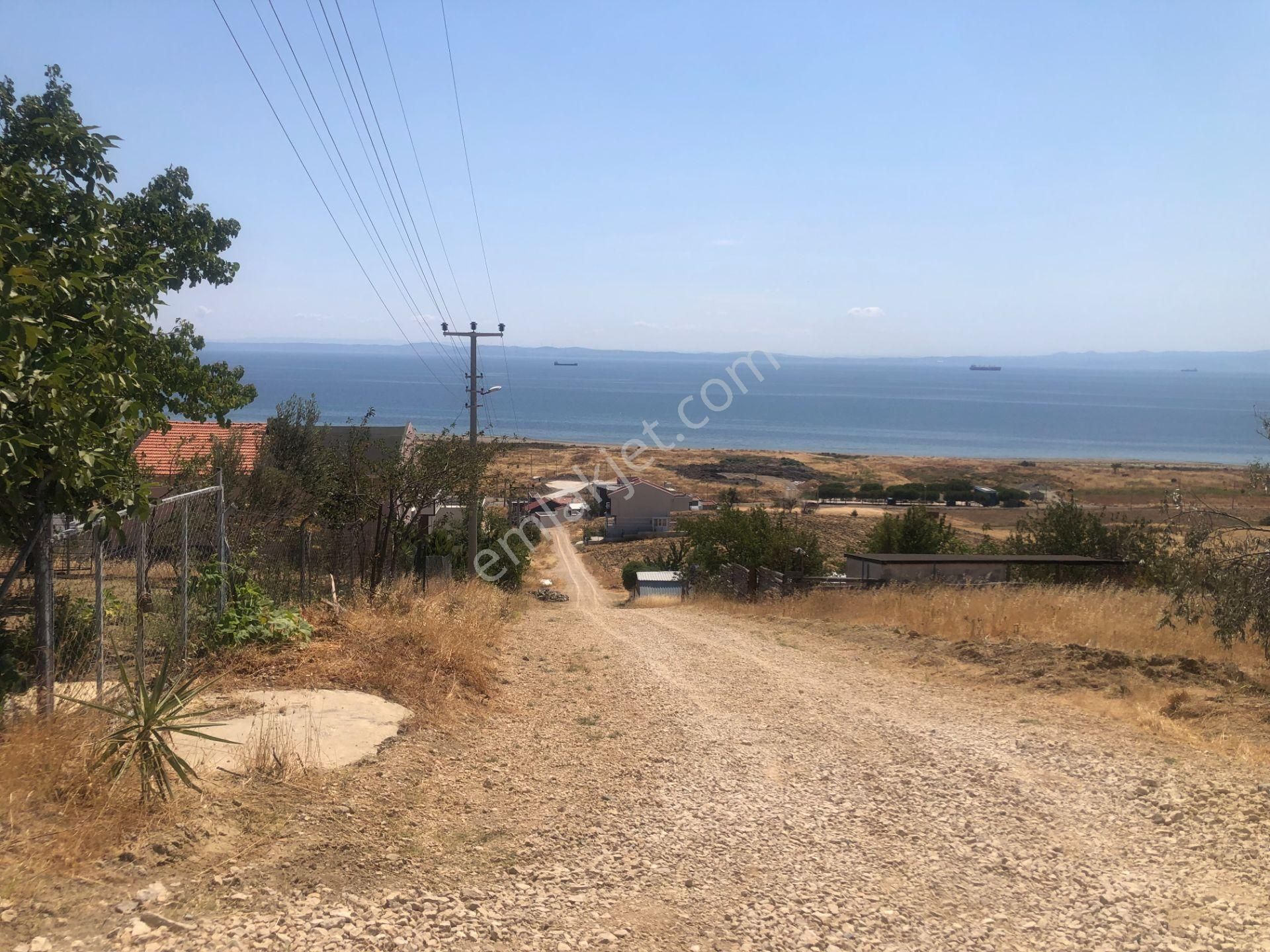 Şarköy De Işık Emlaktan İstiklal Mah De 286 M2 0/25 İmarlı Arsa - Görsel 20