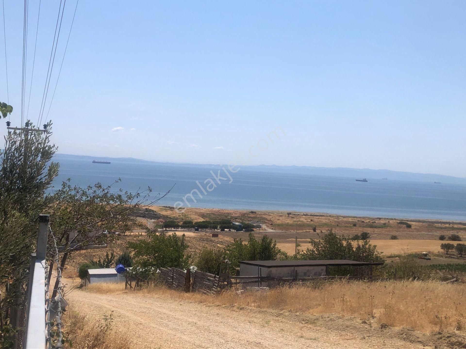 Şarköy De Işık Emlaktan İstiklal Mah De 286 M2 0/25 İmarlı Arsa - Görsel 22