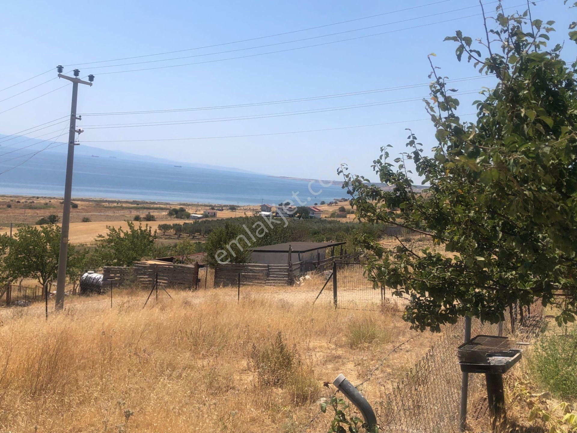 Şarköy De Işık Emlaktan İstiklal Mah De 286 M2 0/25 İmarlı Arsa - Görsel 3